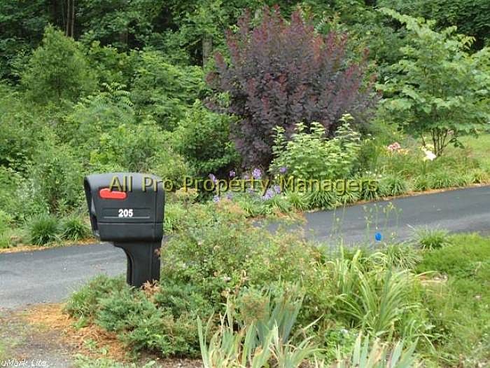 205 Tall Pines Drive