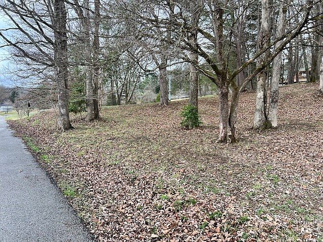 2nd image of LOT 2 Virginia Ave