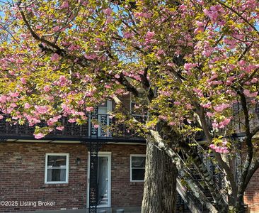 198 Crescent Ave APT 9, Louisville, KY, 40206