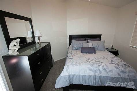 Second Bedroom with Queen Bed and head board, Comforter, Dresser and Mirror and Night Stand