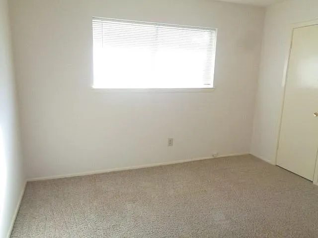 19806 Rustlewood Dr — Photo 11