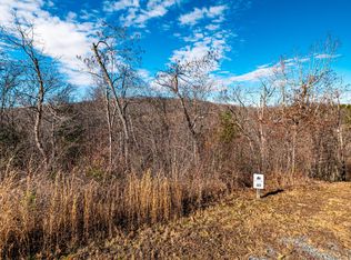 169A Amber Ridge Rd, Blue Ridge, GA 30513