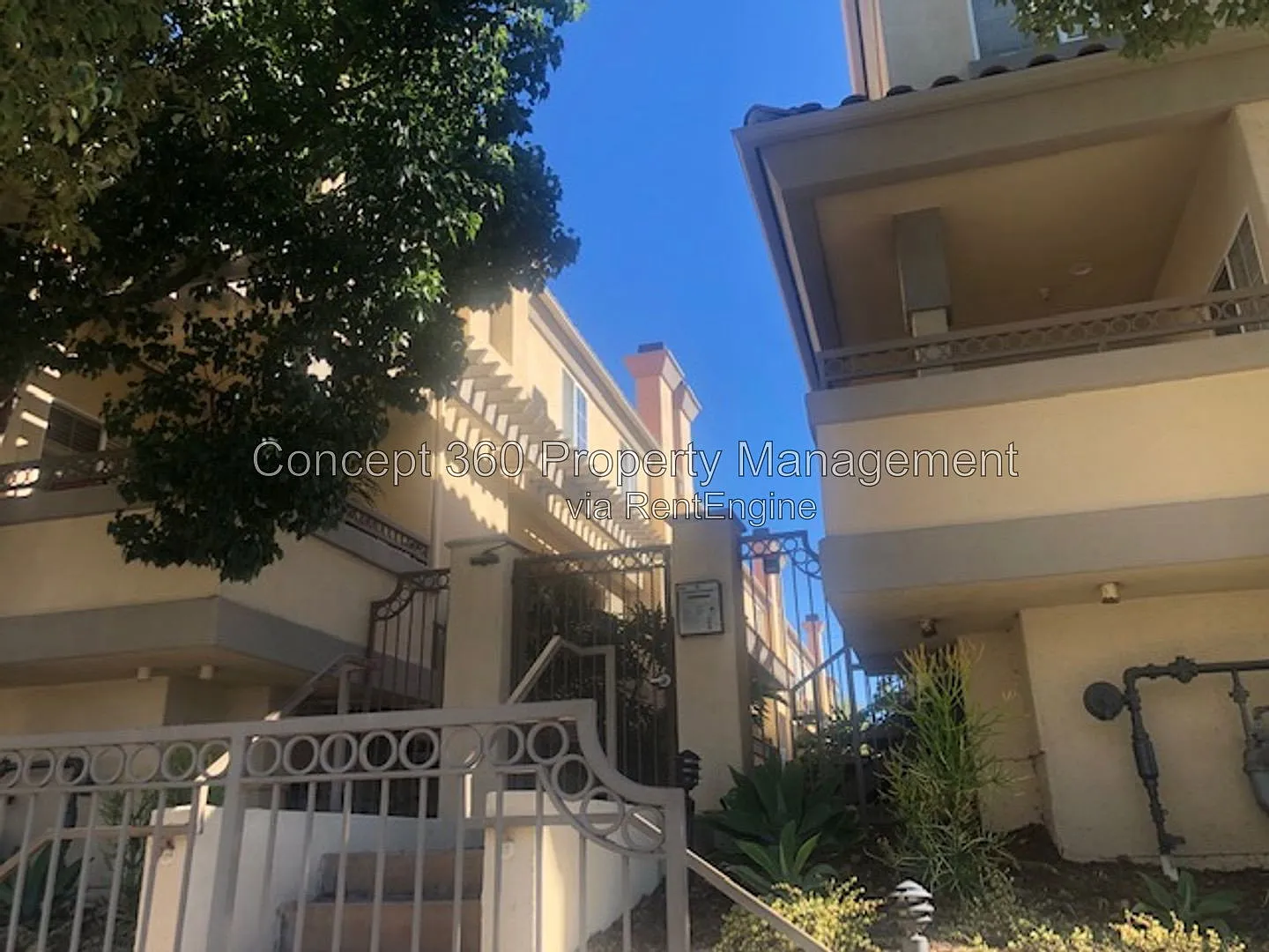 3 bed, 2.5 bath, 1150 sqft, $3,595 — Photo 3