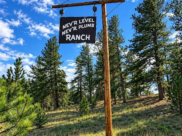 Trail Creek Rd, Florissant, CO 80816