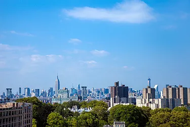 Rented by Bold New York