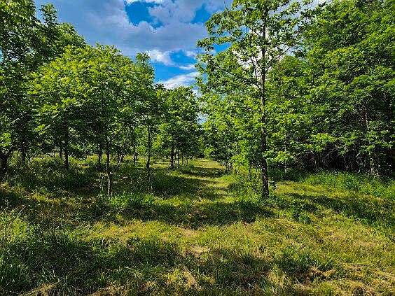 5th image of 10+/- Acres Heron Drive