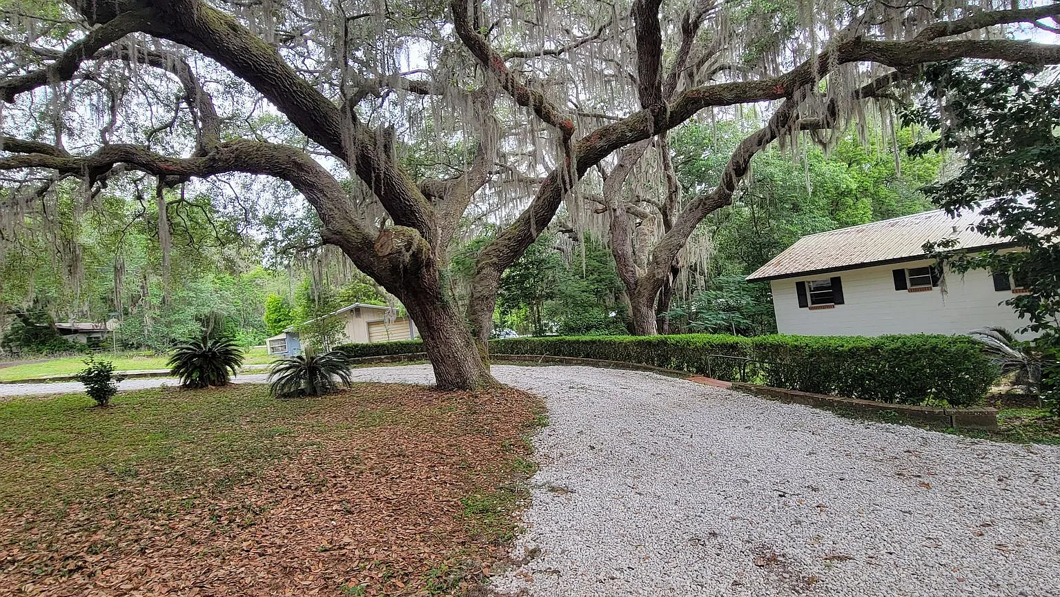 Keystone Heights - Lake House 4/2.5 — Photo 2