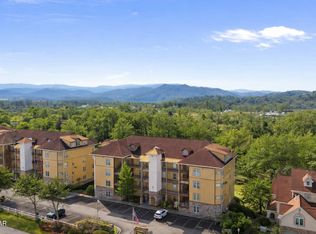 527 River Place Way Unit 314, Sevierville, TN 37862