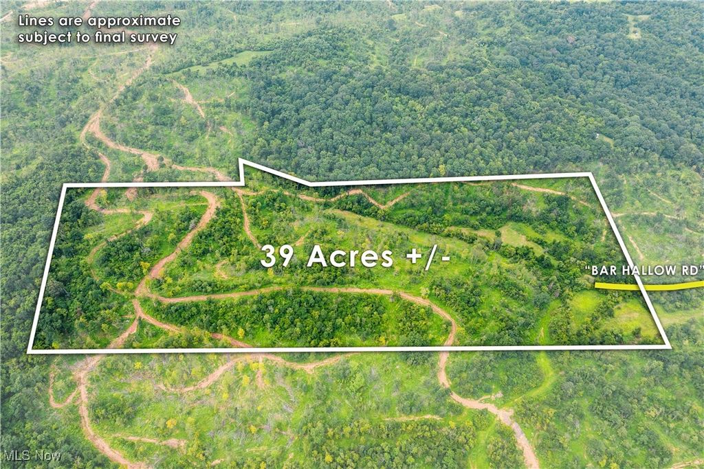 Real estate listing image