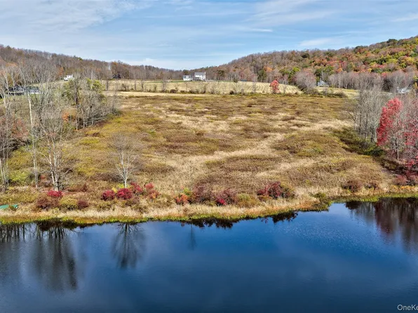 TBD Meadow Lane, Fremont, NY 12736