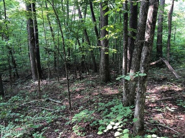 Jackson Hollow Rd, Thorn Hill, TN 37881