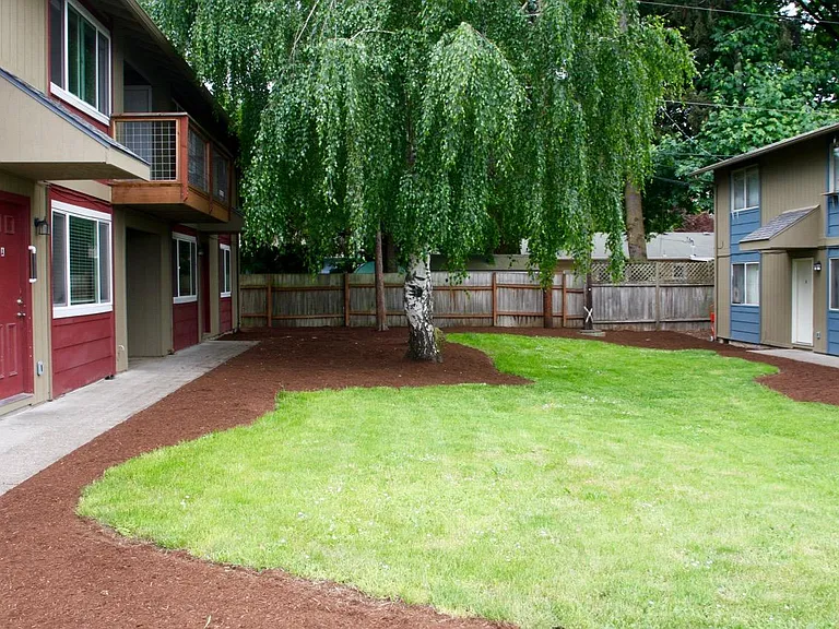 Common yard area professionally landscaped.