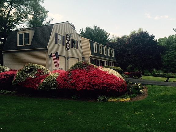 Left yard