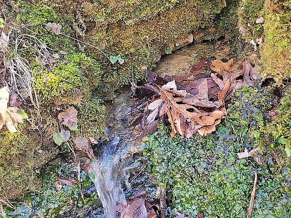 Spring located on property.