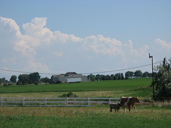 Great pasture with barns