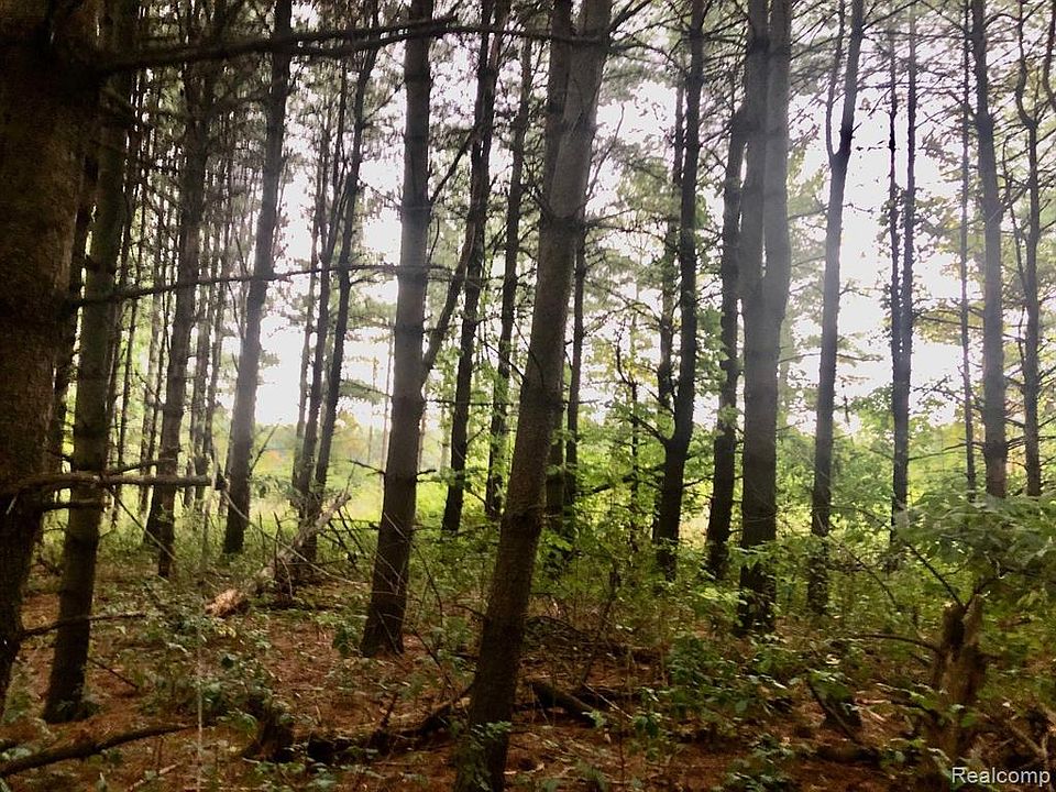 PARCEL Brown City Rd Imlay City, MI, 48444 Apartments for Rent Zillow