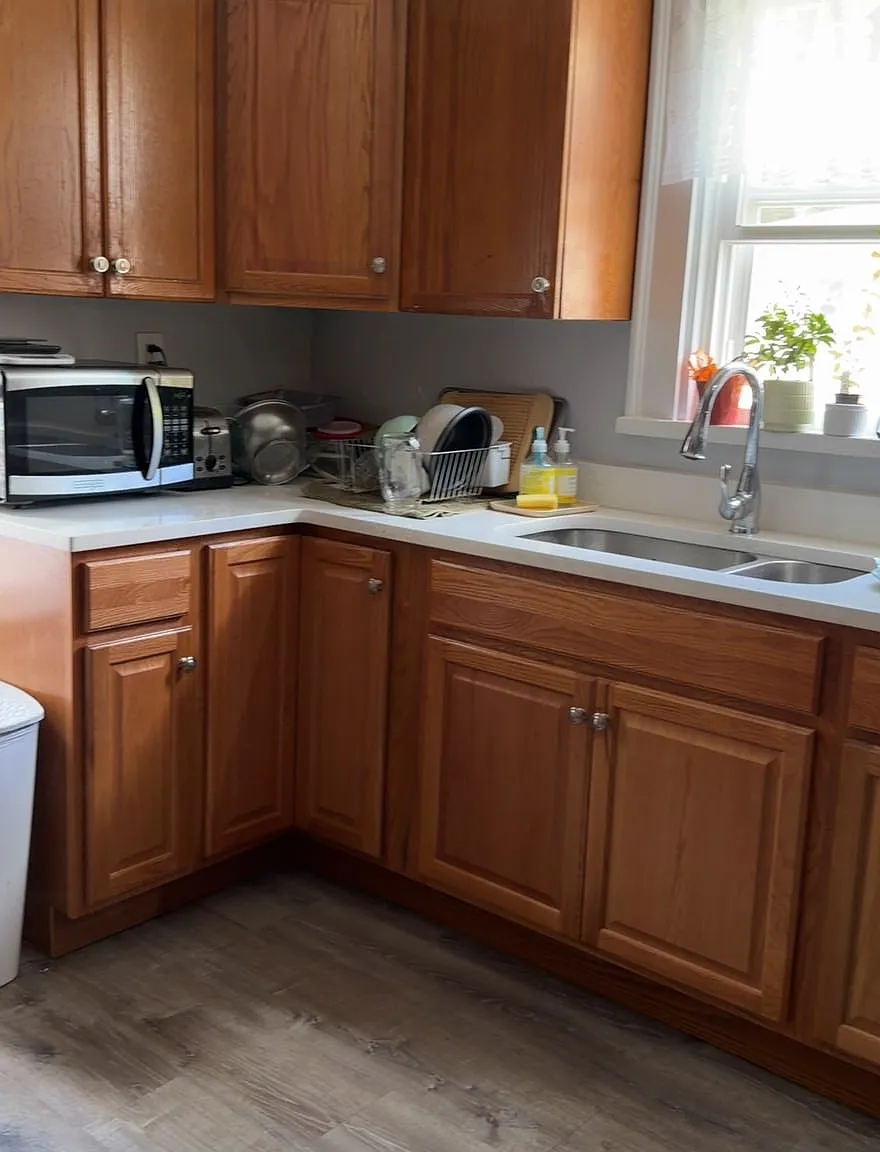 1 bed, $800 — Photo 3