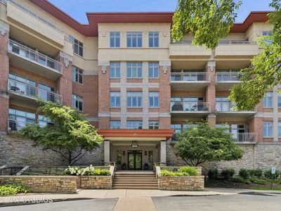 45 Prairie Park Dr APT 206, Wheeling, IL, 60090