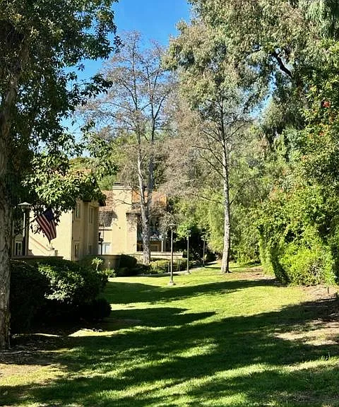 Avenida De Los Lobos — Photo 18