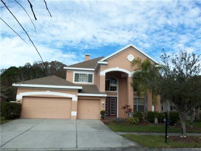 11657 Renaissance View Ct, Tampa, FL, 33626