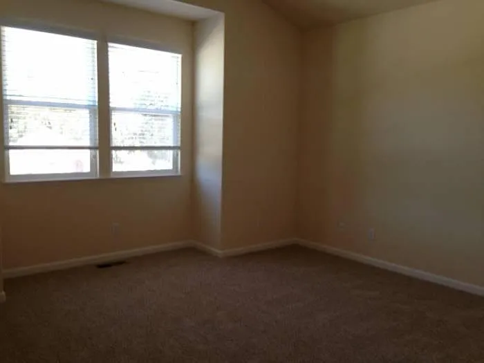 715 Bodega Ave — Photo 10