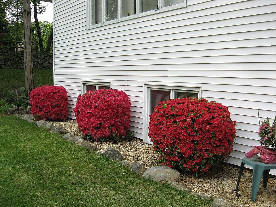 2nd image of 377 William Way