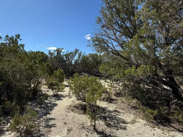 264 Cedar Hill Dr LOT 60, Bandera, TX 78003