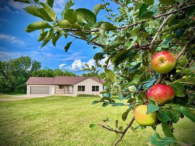 32004 Hemmingway Rd, Lewiston, MN, 55952