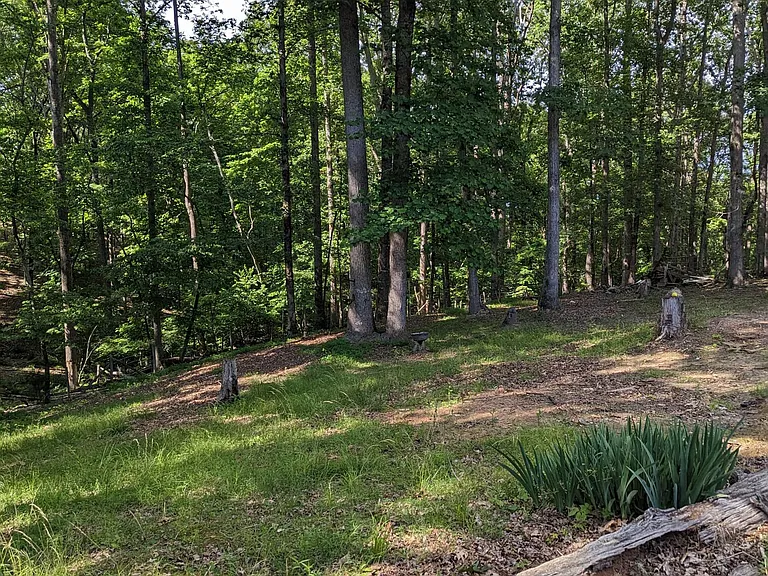 3778 Chestatee Rd — Photo 27