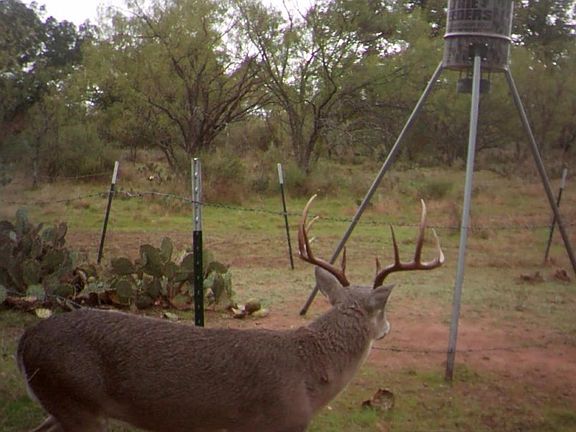 4th image of 0 Ranch Road 152