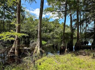 Tbd Black Island Rd, Galivants Ferry, SC 29544