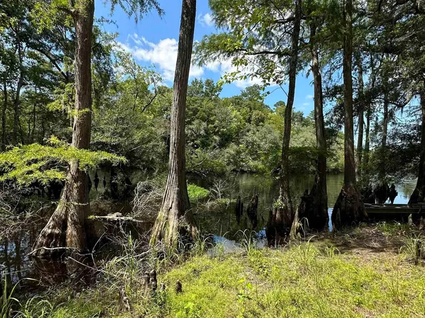 TBD Black Island Rd., Galivants Ferry, SC 29544