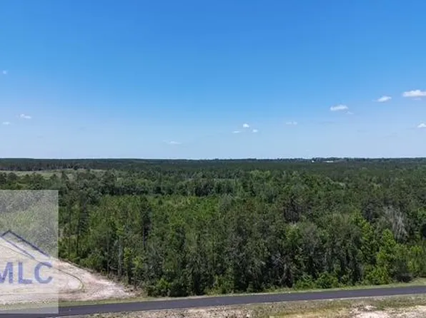 0 Oscar Tippins Rd, Baxley, GA 31513