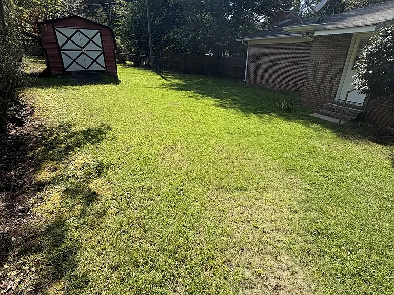 Backyard. View from fence. Side door to kitchen, plus storage shed