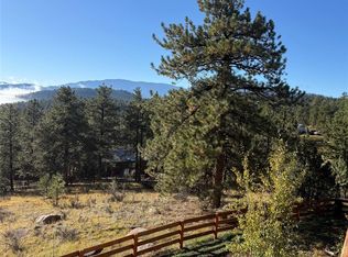 114 Star Ln, Bailey, CO 80421