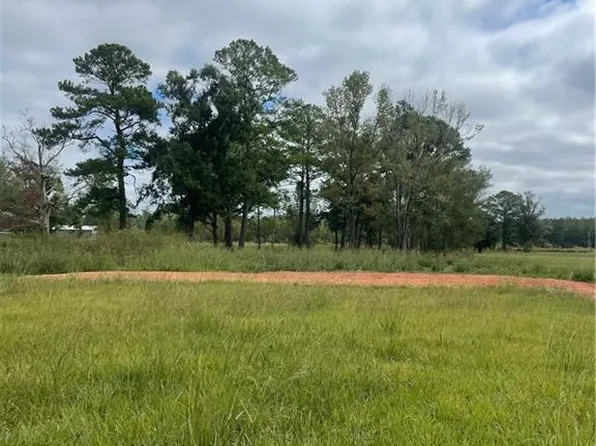 B 1 2 1 E Kiper Ln, Holden, LA 70744
