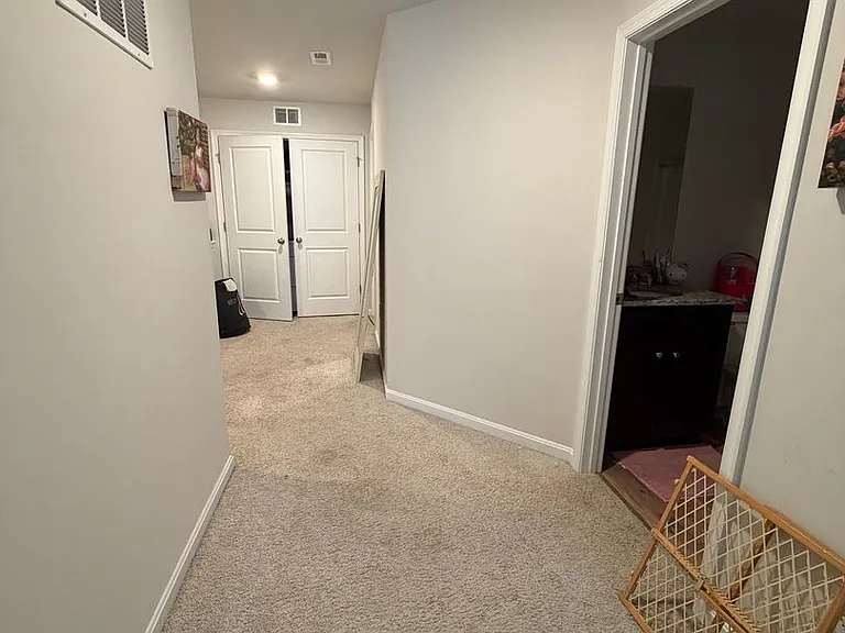 335 Locust Run Dr — Photo 11