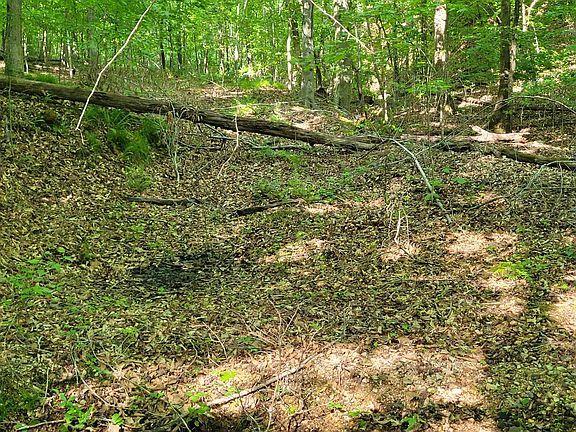 4th image of 77 Carroll Hollow Rd