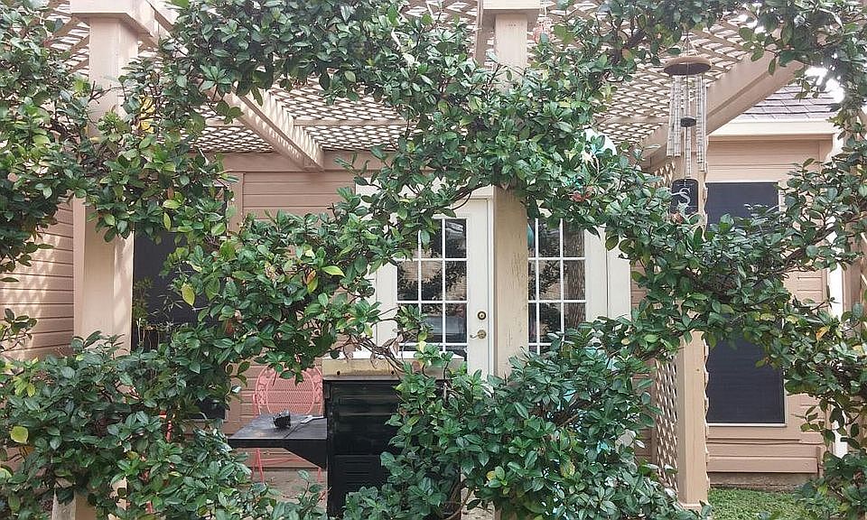 Back patio