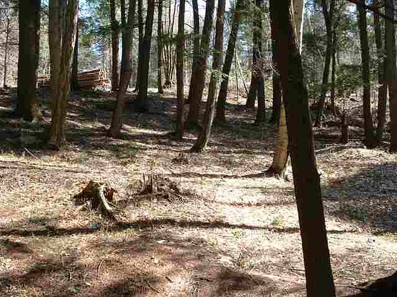 5th image of 0 BARKLEY LAKE Road
