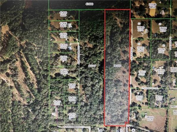 8701 S Fruition Ave, Floral City, FL 34436