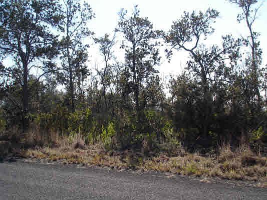 1st image of Palm Pkwy Lot 17
