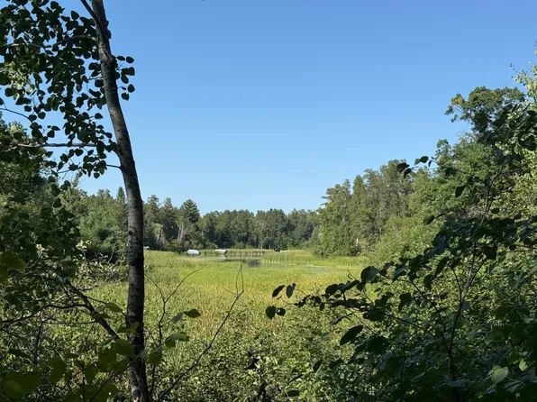 Azalea Rd, Pillager, MN 56473