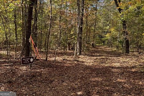 5th image of Flint River Rd