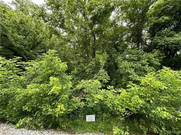 0 Railroad Ave, Eagle Rock, VA 24085