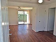 1 bed, 505 sqft, $895 — Photo 4
