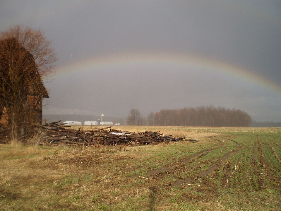 part of the 5 acres