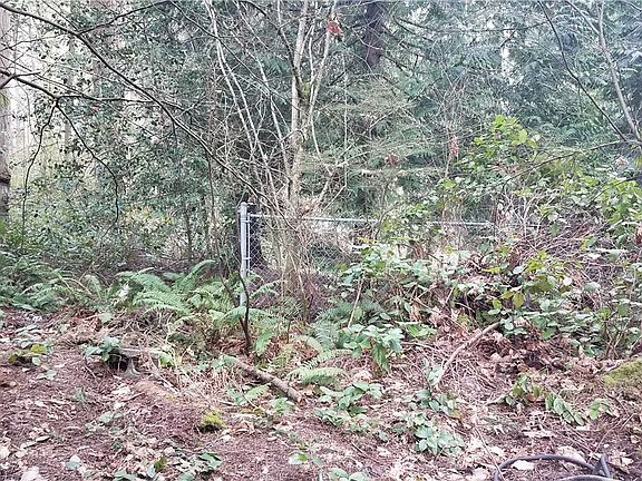 Corner of Chainlink is believed to be near North West corner of site