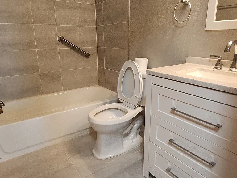 Hall bathroom