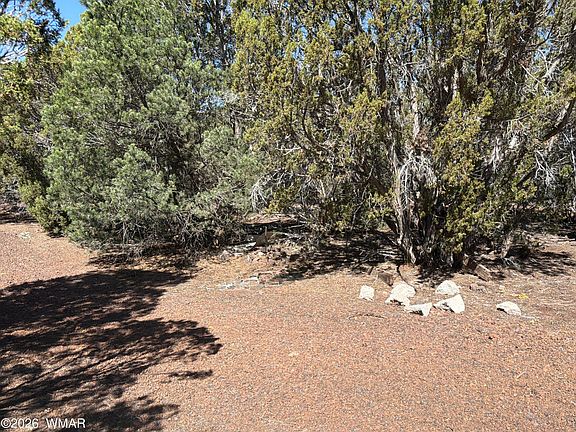 3rd image of LOT County Road 3189
